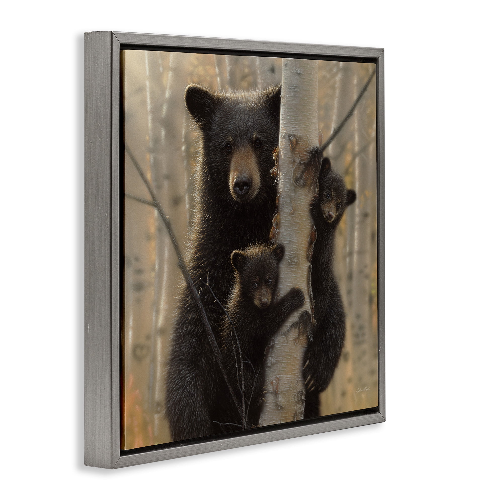 Stupell Industries Forest Black Bear and Cubs Animals & Insects Photography Gray Floater Framed Canvas Art Print Wall Art, 25 x 25