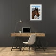 thumbnail image 3 of Hopkins, Cindy Miller 13x18 White Modern Wood Framed Museum Art Print Titled - USA-Colorado-Westcliffe Music Meadows Ranch Bay ranch horse, 3 of 4