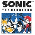 thumbnail image 2 of Mens Sonic the Hedgehog Trio Group Shot Lightweight Hoodie, 2 of 4