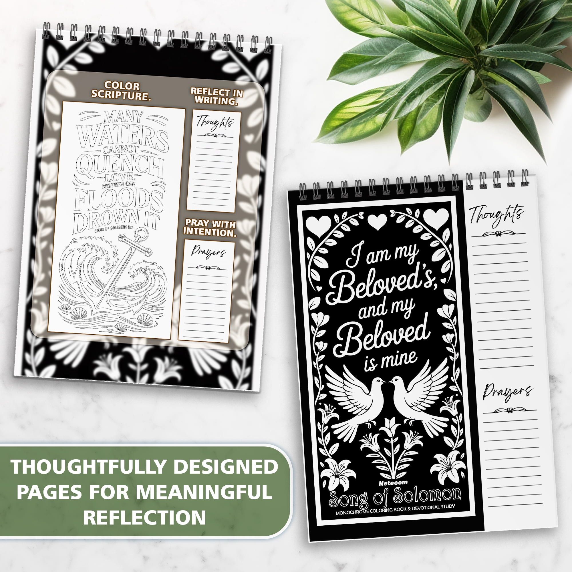 Song of Solomon Monochrome Coloring Book for Adults, 30 Minimalist Scripture Art Pages with Reflection & Prayer Space, Spiral Bound, A4 or A5 Softcover or Wood Cover