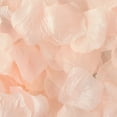 thumbnail image 2 of Pink Artificial Flower Rose Petals, 300 Count, by Way To Celebrate, 2 of 5