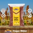 thumbnail image 4 of Rani Ragi Finger Millet (Eleusine Coracana) Whole Ancient Grain Seeds 400g (14oz) ~ All Natural | Gluten Friendly | Non-GMO | Kosher | Vegan | Indian Origin, 4 of 9