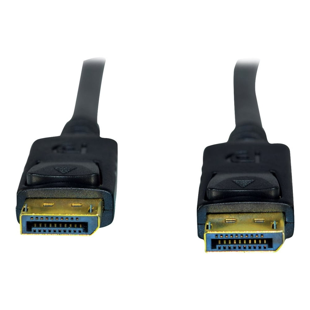 Weltron DisplayPort Audio/Video Cable DisplayPort A/V Cable for Audio/Video Device