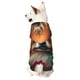 thumbnail image 1 of Fotbe Colorful Leaf Chihuahua Sudadera con Estampado para Perros Pequeños – Suéter con Capucha para Mascotas, Tela Suave de Forro Polar con Bolsillo-Medium, 1 of 7