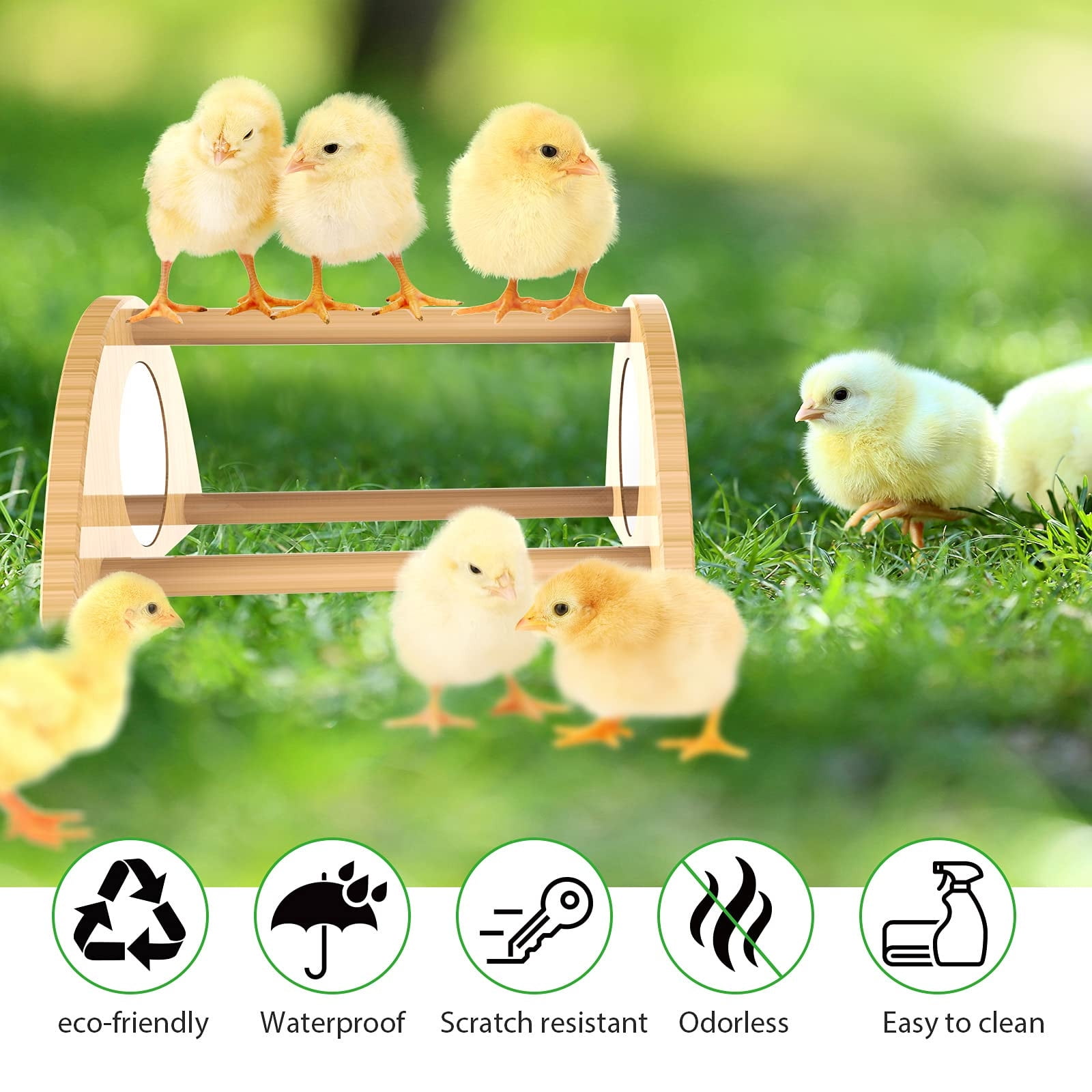 mini-chick-perchs-with-mirror-coop-and-brooder-training-perchs-for-baby