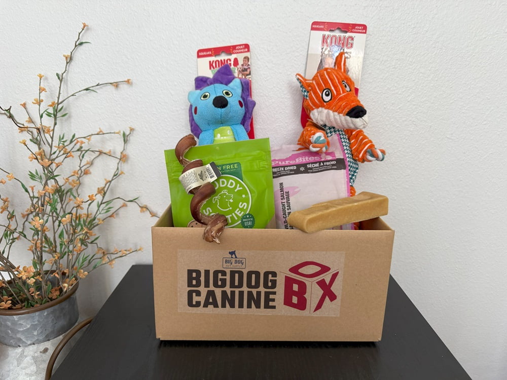 BigDog Canine Box, Treats and Toy Box, Large Dogs