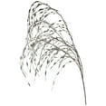 thumbnail image 3 of Northlight Weeping Willow Artificial Christmas Spray - 47" - Silver, 3 of 3