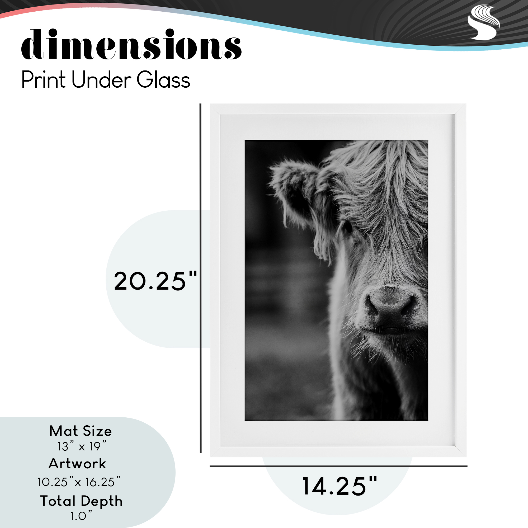 Baby Cow Face White Framed Print Under Glass, design by Amy Carroll