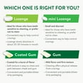 thumbnail image 4 of Equate Nicotine Coated Gum 2 mg, Stop Smoking Aid, Cinnamon Flavor, 200 Count, 4 of 8