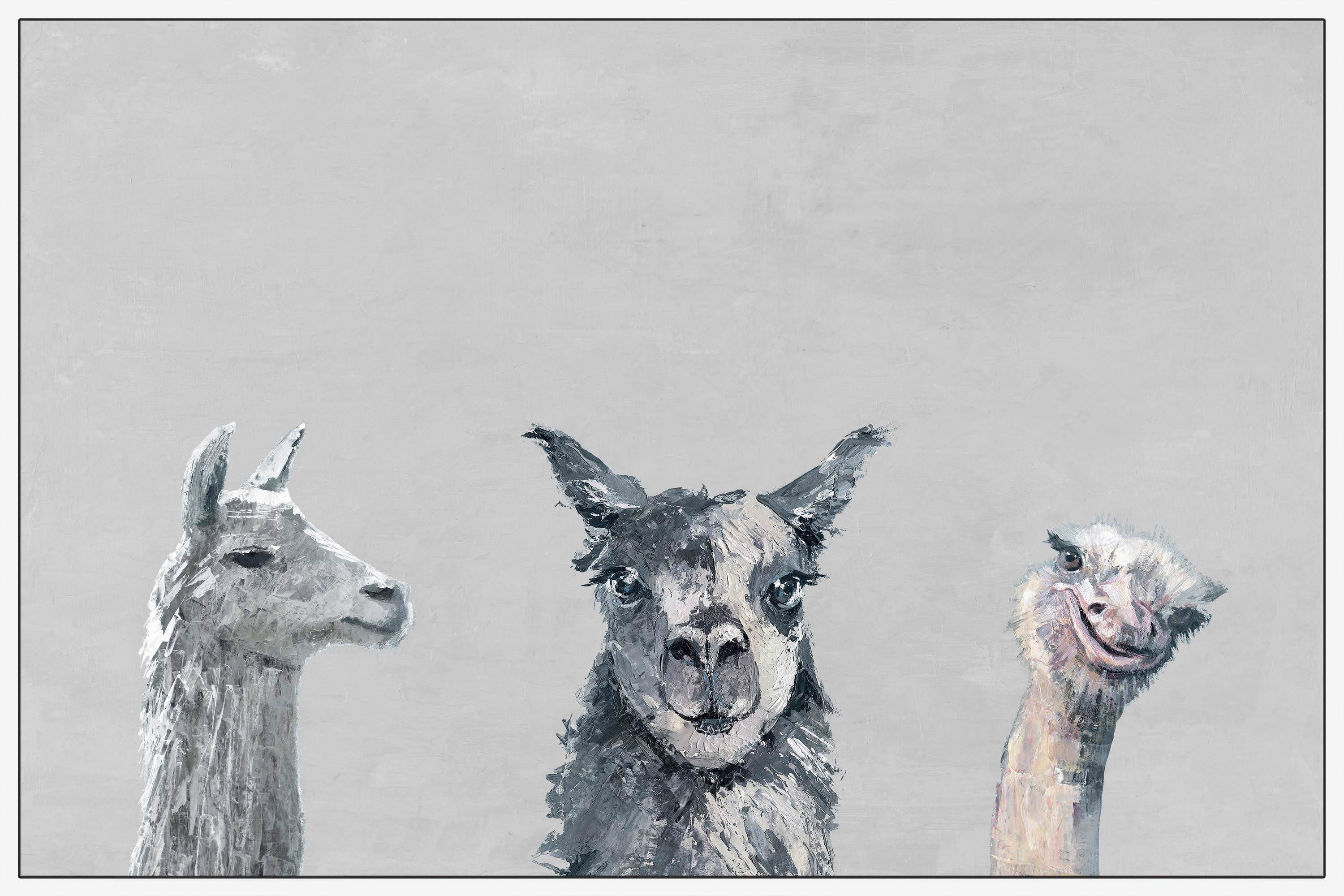 Llama and Ostrich Groove in Gray Floater Framed Painting Print on Canvas