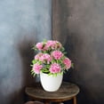 thumbnail image 5 of 12 Headed Chrysanthemum Potted Green Floral Arrangement Desktop For Home Centerpiece Wedding Details Fall Flowers Outdoor Flower Arrangements in Vase Wall Flowers Bouquet Holder for Flowers Winter, 5 of 5