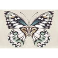 thumbnail image 3 of Isabelle Z 18x13 Black Modern Framed Museum Art Print Titled - Butterflys Kiss I, 3 of 5