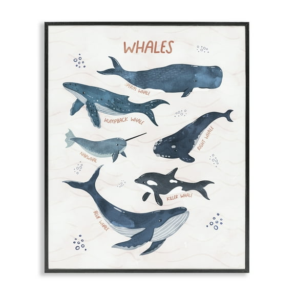 Stupell Industries Whales of the World Animals & Insects Painting Black Framed Art Print Wall Art, 11 x 14