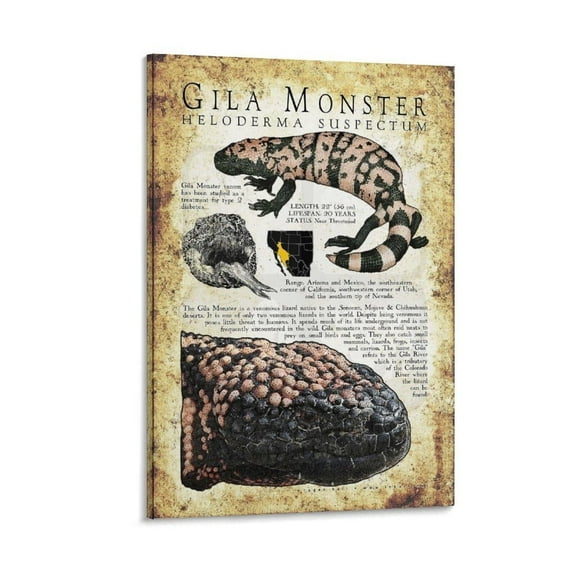 Wildlife Animal Science Wall Art Posters For Room Aesthetic Poster For Bedroom Living Room Bathroom Kitchen Office Decor