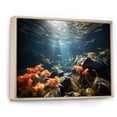 thumbnail image 2 of Designart "The Splendid Realm Of Corals" Coastal Coral Under Water Floater Framed Canvas Prints, 2 of 5