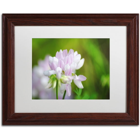 Trademark Fine Art "Calm Heart" Canvas Art by Monica Mize, White Matte, Wood Frame