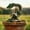 X, variant on Nkmbld Yard Statues, Patio Statues Enchanting Girl Yoga Acrylic Outdoor Courtyard Decoration Floor Insertion Outdoor Pottery Decoration