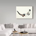 thumbnail image 3 of Trademark Fine Art 'Curious Otter' Canvas Art by Mark Adlington, 3 of 3