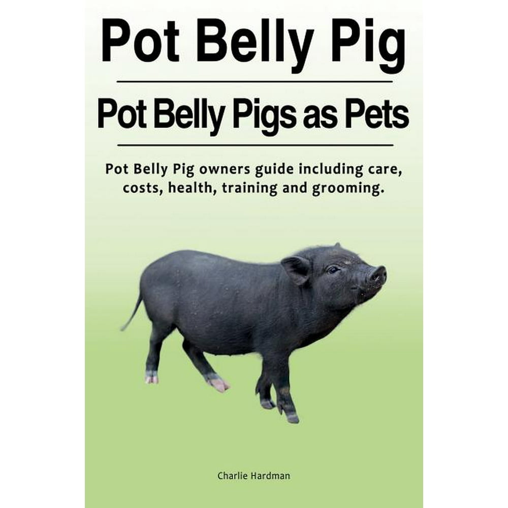 Pot Belly Pig. Pot Belly Pigs as Pets. Pot Belly Pig Owners Guide