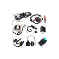 thumbnail image 1 of Arnés de imán CDI de bobina de estator eléctrico para 4 tiempos ATV 50cc 70cc 110cc 125cc Pit Quad Dirt Bike Go Kart esquí esquí Gafas de esquí, 1 of 5