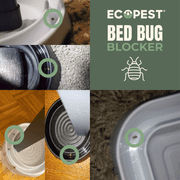 Bed Bug Blocker (Pro) Interceptor Traps — 4 Pack | Interceptors, Monitors, and Detectors for Bed Bugs