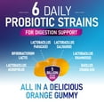 thumbnail image 3 of Probiotic Gummies - 6 Premium Probiotic Strains - Daily Gut Health Pro Biotic Gummy Supplement for Women, Men & Teens, Natural Digestive Health Support, “Good” Gut & Immune Support - 120 Gummies, 3 of 9