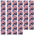 thumbnail image 2 of Linnome Independence Day Party Supplies Paper Plates Tissue Cups Holiday Party Tableware One Time Tableware with Patriotic Print Multicolor#04, 2 of 6