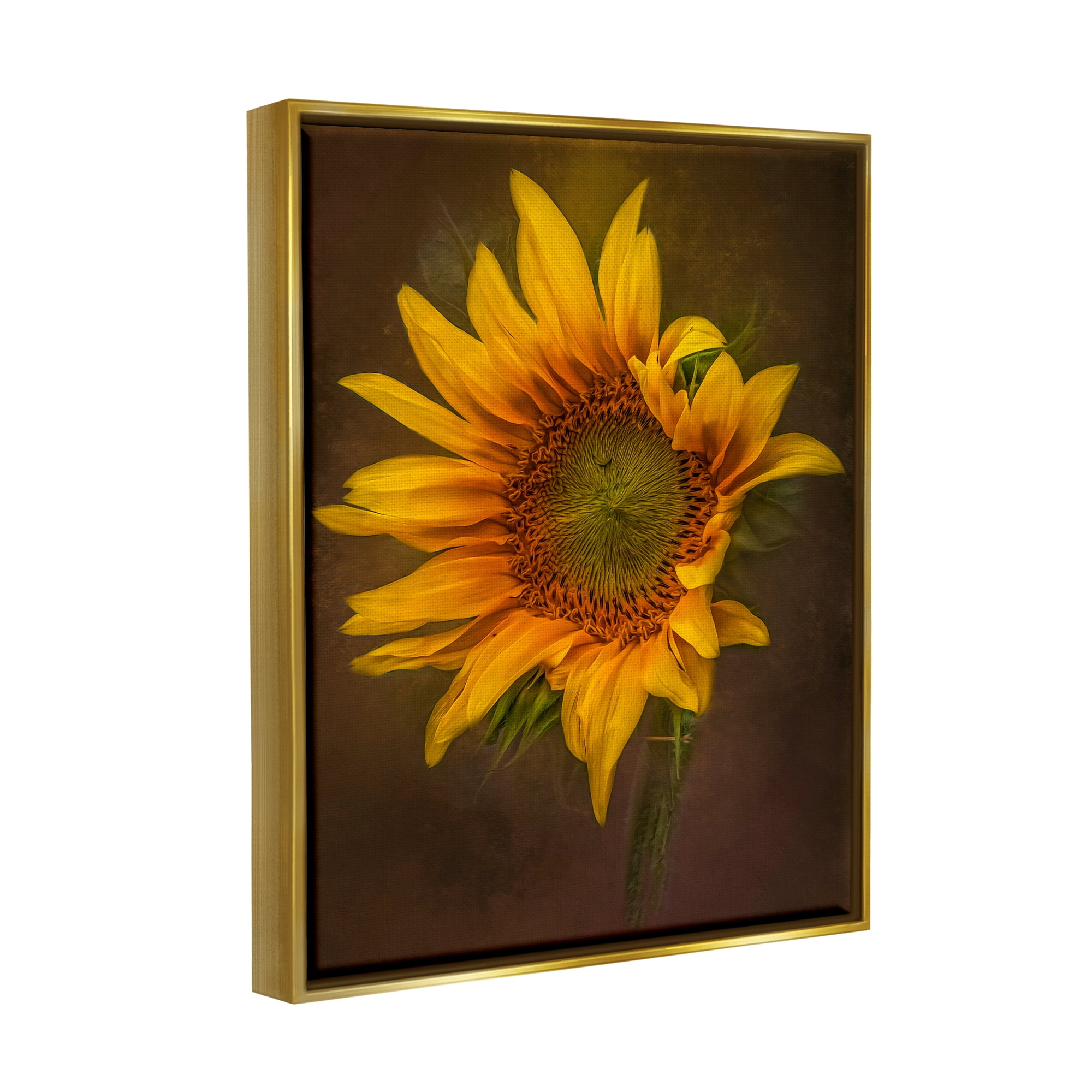 Stupell Industries Modern Detailed Sunflower Petals Botanical & Floral Painting Gold Floater Framed Art Print Wall Art