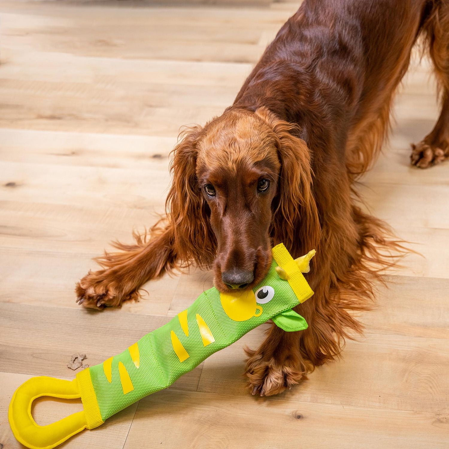 Outward Hound Jouet Pour Chien Zèbre Bouchées De Feu En Lance De Pompier Tire À La Corde Durable