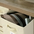 thumbnail image 5 of Sauder® Collection Stow-Away 4 Cube Organisateur, Finition Lintel Oak, 421966, 5 of 5