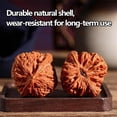 thumbnail image 5 of Natural Wenwan Walnuts Hand Massage Balls, 1 Pair 1.8" Chinese Walnut Fidget for Stress Relief, Gift Box with Brush for Fathers, Elders & Collectors, 5 of 7