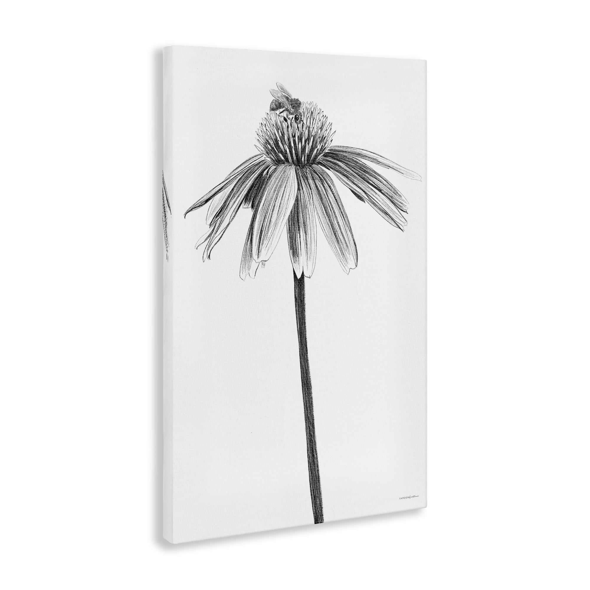 Stupell Industries Simple Daisy Sprig Botanical & Floral Drawing Gallery Wrapped Canvas Art Print Wall Art, 20 x 30