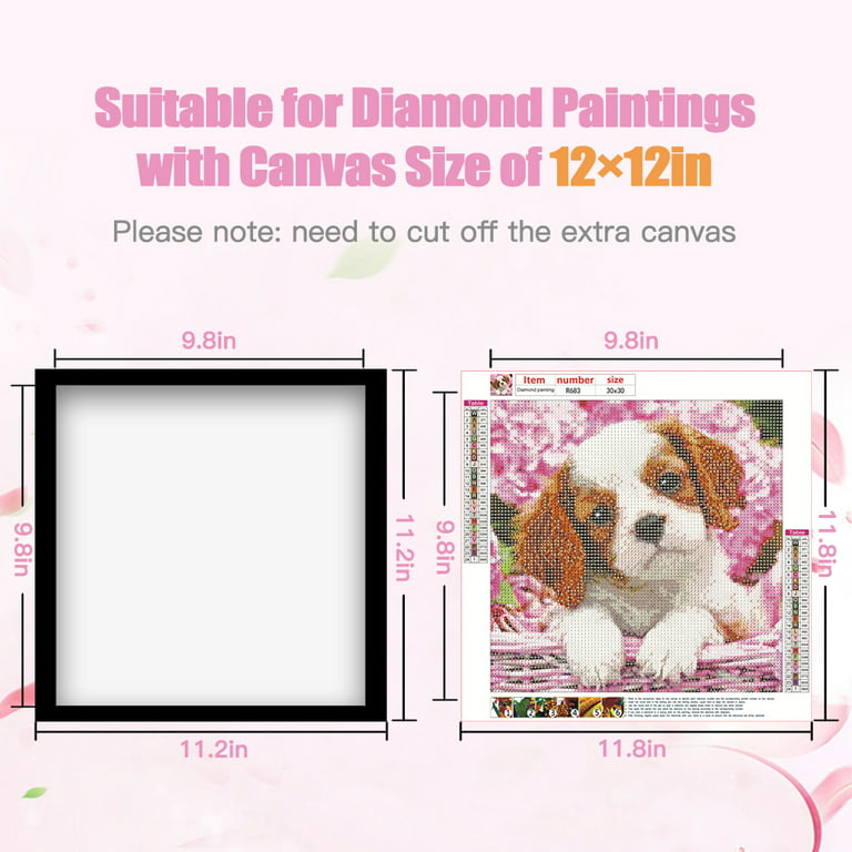 IOOSTAR 12x12 Diamond Painting Frame Picture ，Display Pictures 10 x 10  inch/25x25 cm or 12 x 12 inch/30x30 cm，Diamond Art Frame Solid Wood White