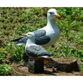 thumbnail image 2 of Artesanía de Resina Artesanía de Estatua de Gaviota Artes Adorno de Jardín Decoración Interior / Exterior shamjiam Adorno de jardín al aire libre, 2 of 8