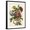 Black Frame, variant on Art.com Floral Posy II Art Print by Giovanni Ferrari, 12" x 16"
