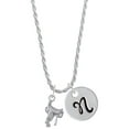 thumbnail image 1 of Delight Jewelry Silvertone English Saddle Silvertone Script Initial Disc - N - Charm Necklace, 20"+3", 1 of 4