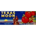 thumbnail image 3 of Vintage Apple Collection 14x8 Black Modern Framed Museum Art Print Titled - Texas Moon Tomatoes, 3 of 5