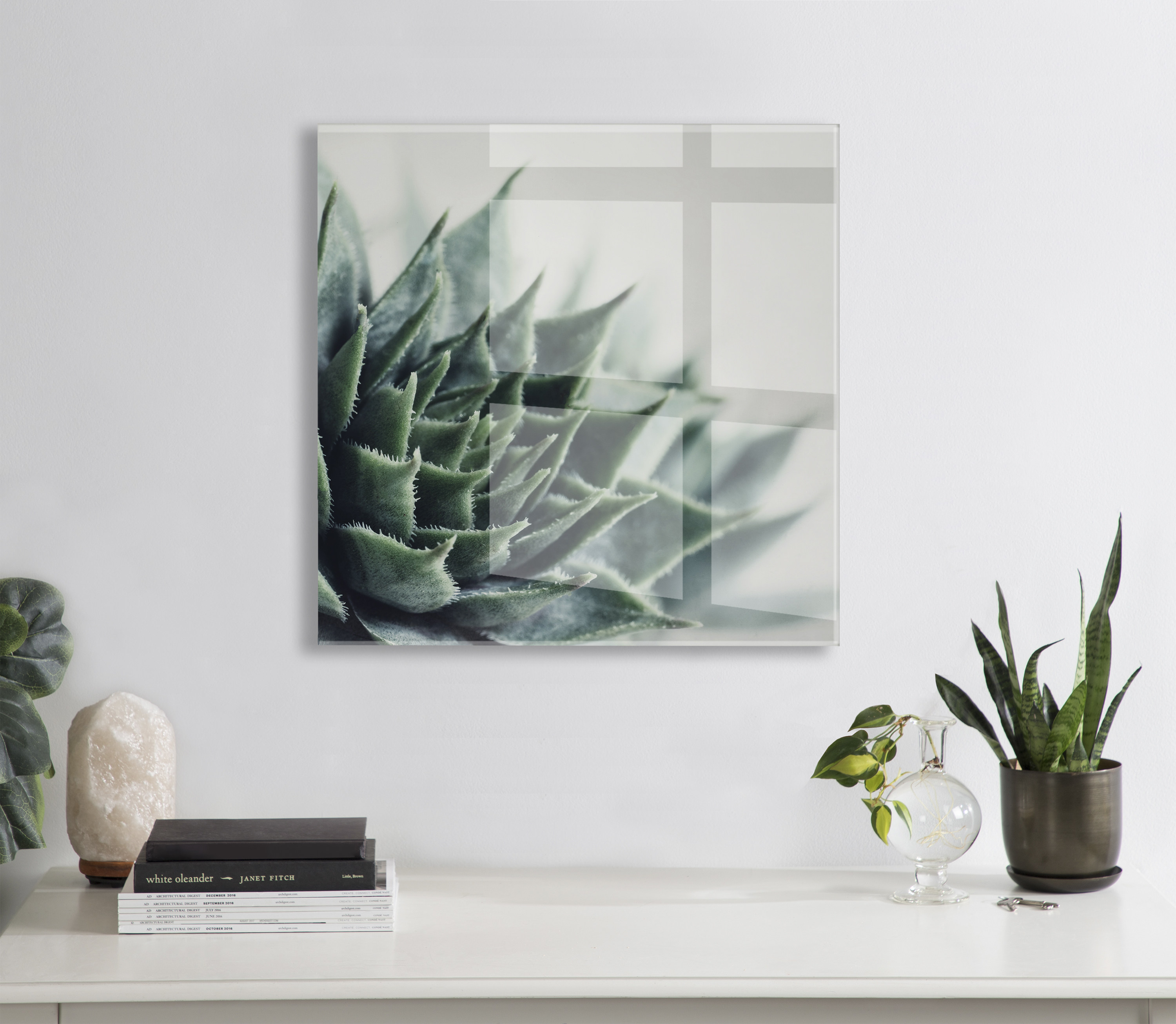 Kate and Laurel Radical Succulent Floating Acrylic Art by Emiko and Mark Franzen of F2Images, 23x23, Decorative Unique Succulent Art for Wall