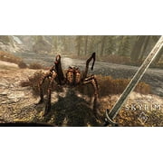 Skyrim VR - PlayStation 4