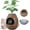 Brown, variant on Jaxpety Smart Plant Litter Box,Hidden Cat Litter Box with Deodorization System, Exhaust Fan,Light, Scoop, Artificial Plants for Apartments and Offices Living Room Bedroom,Gray