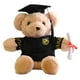 thumbnail image 2 of Oficina y papelería, Accesorios de escritorio de oficina, Suministros de oficina, Muñeco de oso de peluche de graduación de doctorado, osos de peluche, muñeco de peluche de juguete, 2 of 9