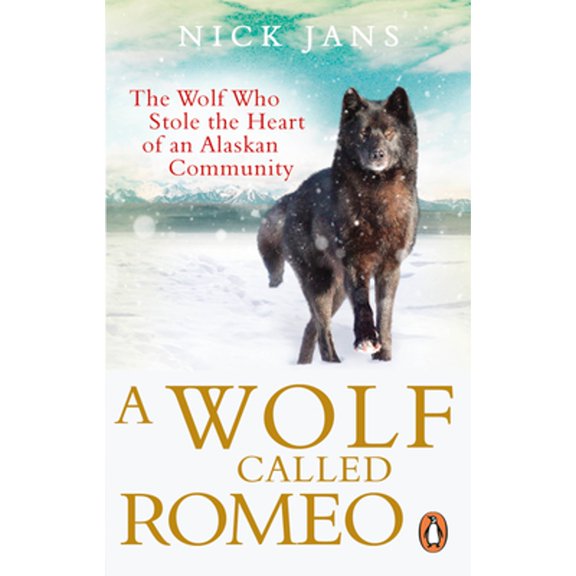 Pre-Owned A Wolf Called Romeo (Paperback) by Nick Jans