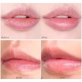 thumbnail image 4 of 4PCS Bálsamo labial 8g Labios húmedos Ingredientes naturales para labios secos agrietados y agrietados, 4 of 5