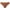Khaki, variant on ShomPort Seamless Bikini Panties for Women No Show Low Waist Breathable Thin Solid Color Briefs