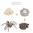 thumbnail image 1 of Figuras de animales realistas - Modelo de acción de araña Figuras de juguete de insectos realistas - Juego de cumpleaños de juguetes educativos de aprendizaje (Tarántula), 1 of 5