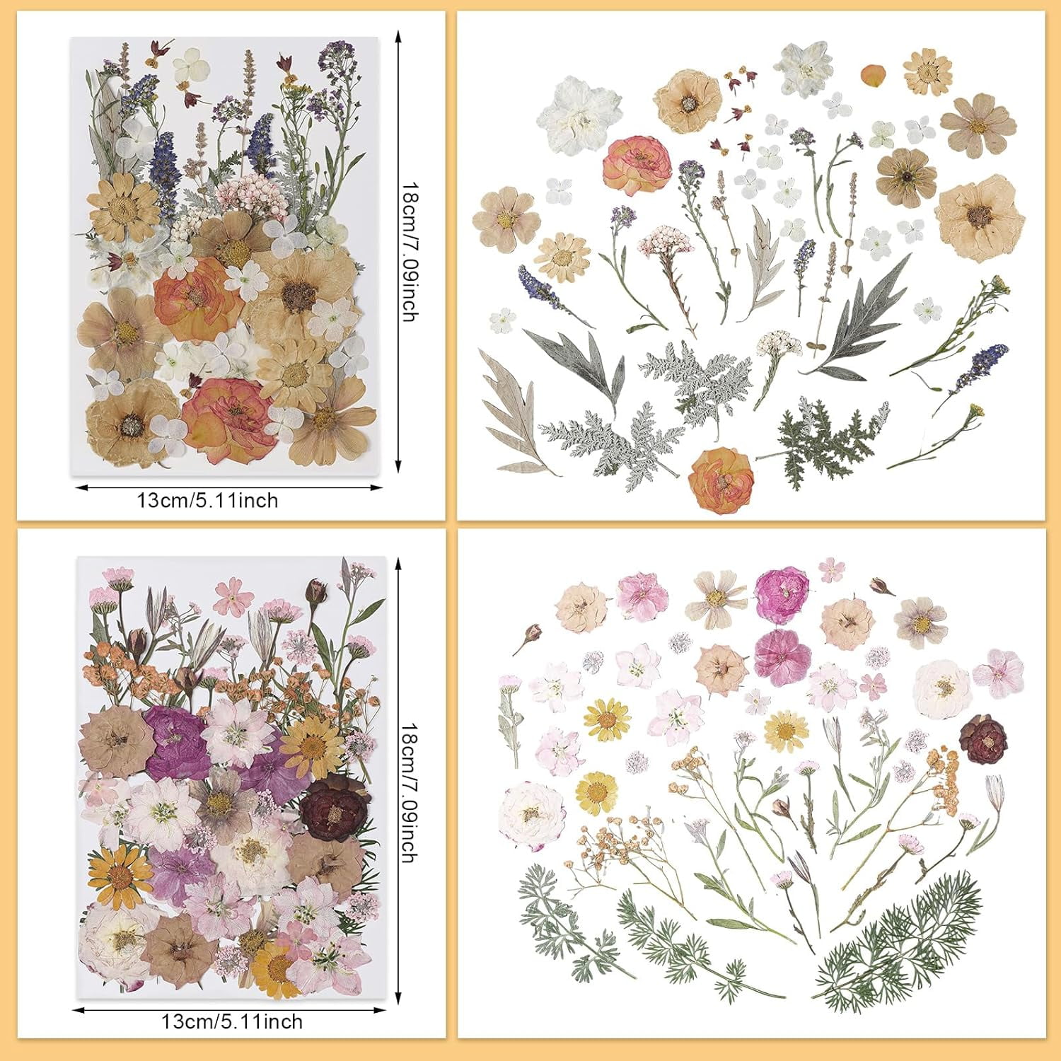 200 Pcs Pressed Flowers Bulk Dried Flower for Craft Resin Mold Bookmark Scrapbooking Nail Cake White Orange Natural Floral with Tweezer DIY Gift(Classic Color,Retro Style)