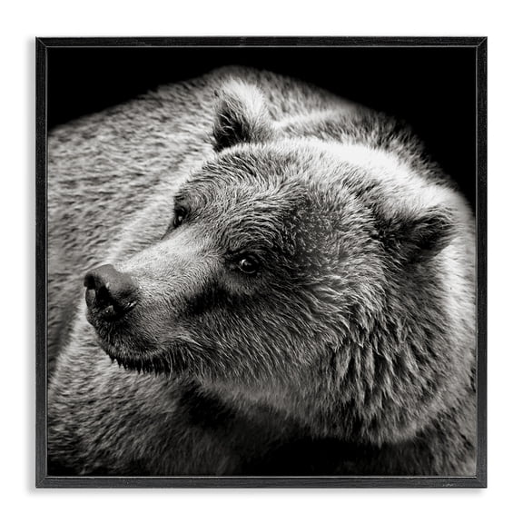 Stupell Industries Farmhouse Bear Looking Left Black Framed Giclee Art, 12 x 12, by Kathy Mansfield