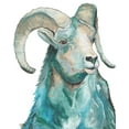 thumbnail image 2 of Medley, Elizabeth 20x24 Black Ornate Wood Framed with Double Matting Museum Art Print Titled - Teal Ram, 2 of 4