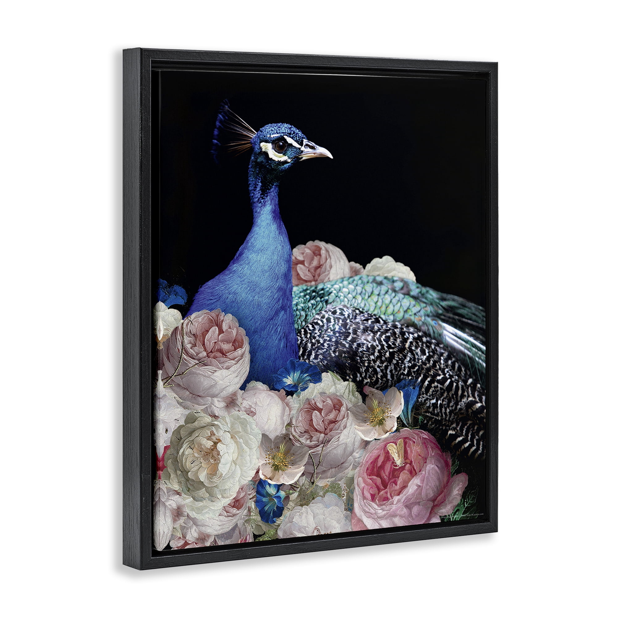 Stupell Industries Peacock & Peonies Animals Painting Black Floater Framed Canvas Art Print Wall Art, 17 x 21