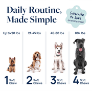 Veterinary Formula Gut Health Supplement for Digestion Support, Smart Vitality for Dogs, 60 chews